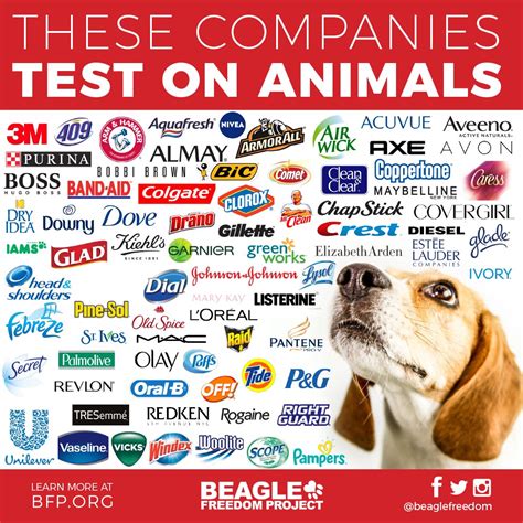 These Companies Test on Animals. Which Brands 